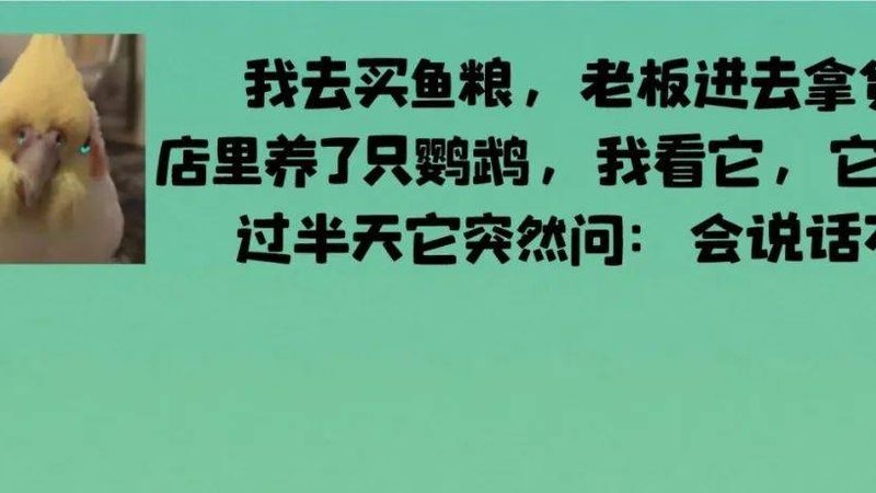 网红糖果加盟店：揭秘加盟成本背后的真相